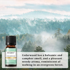 Sandalwood scented oil 10ml amber bottle