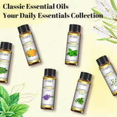 EUQEE Lavender essential oil bottle 10ml