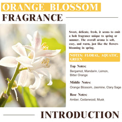 Amber glass bottle with dropper and packaging for EUQEE fragrance oil