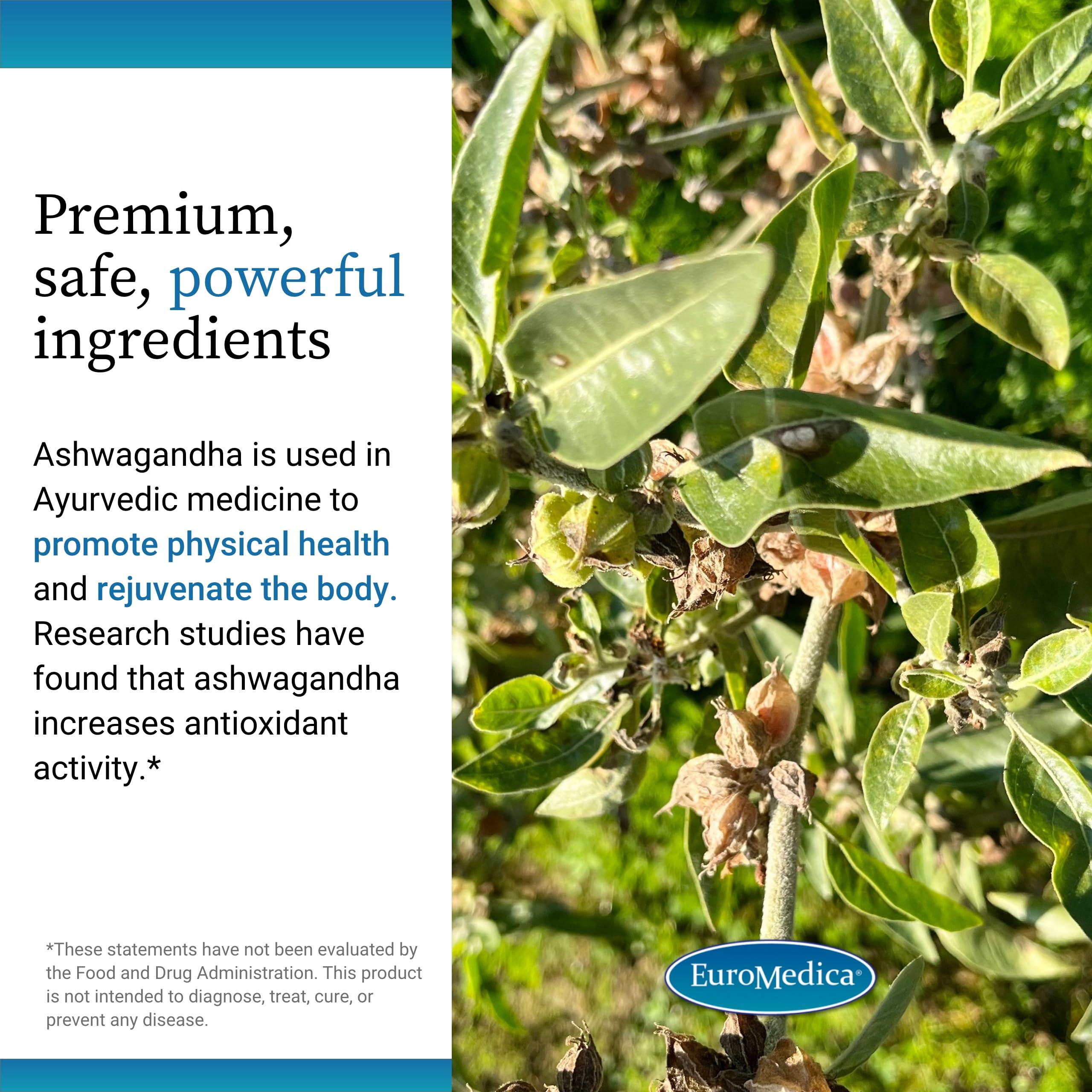 Adrenal support concept image for EuroMedica Ashwagandha Complex