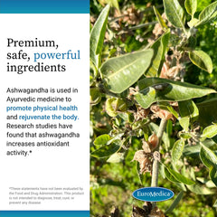 Adrenal support concept image for EuroMedica Ashwagandha Complex