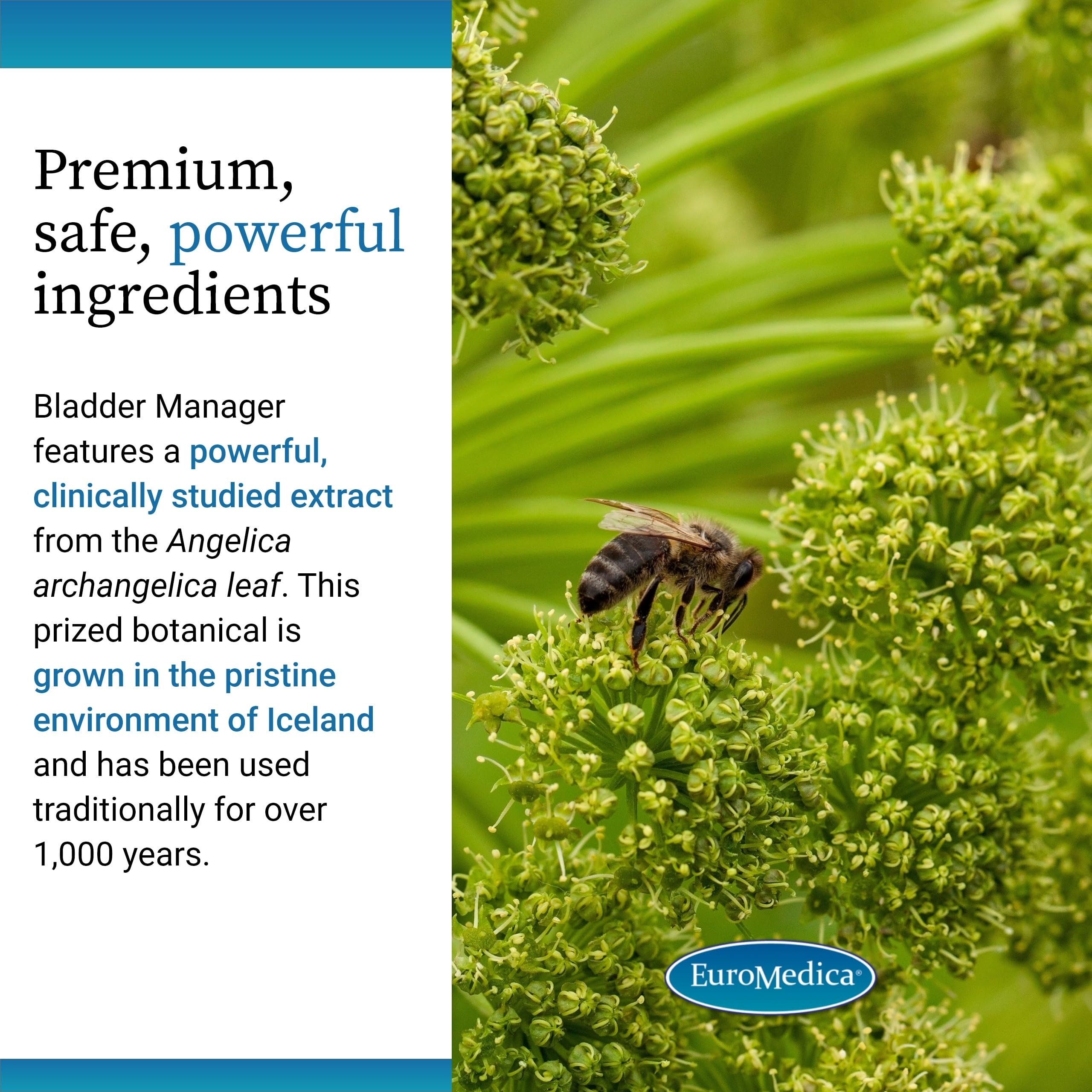 Close-up of bottle showing 30 capsules