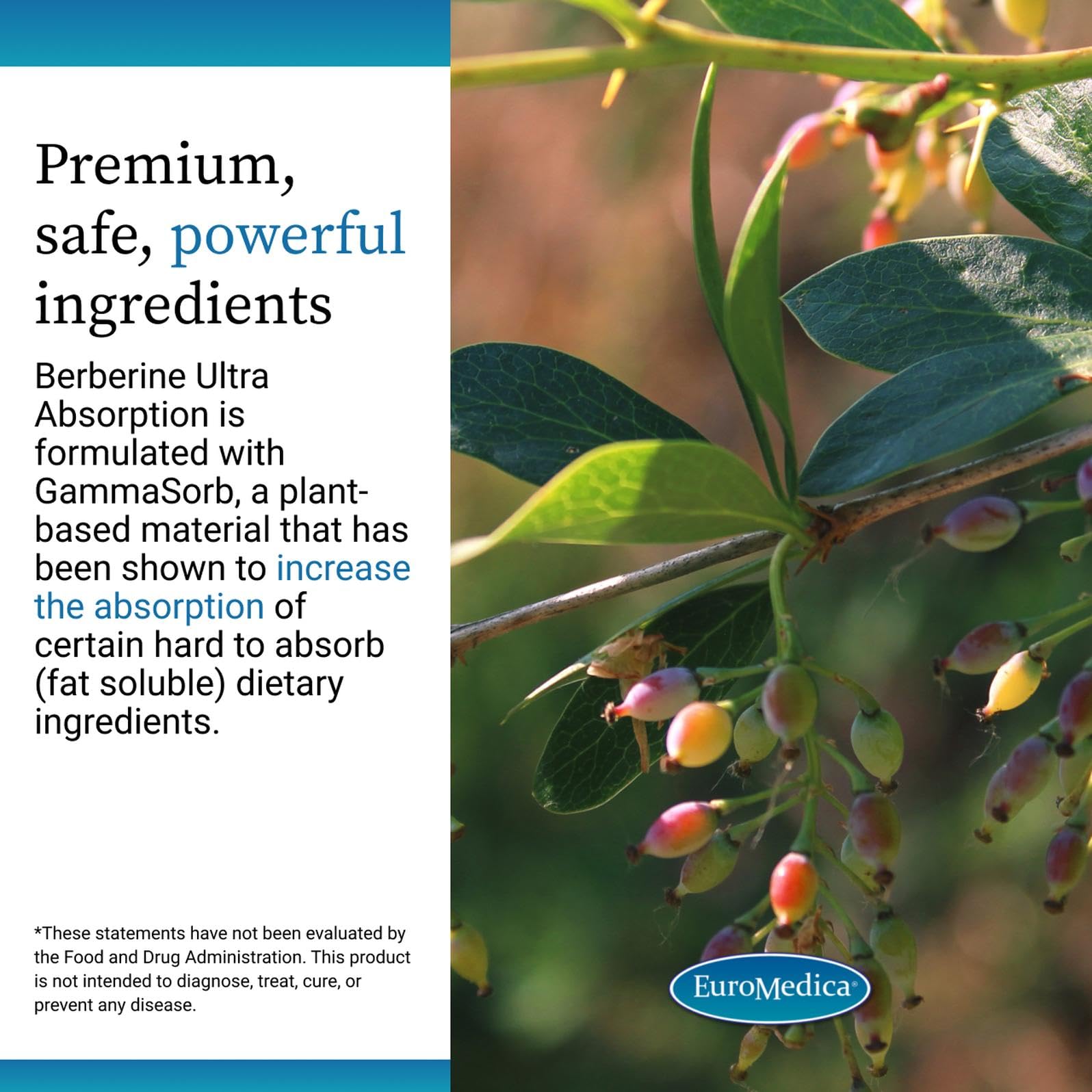 Allergen-friendly vegan capsules label