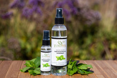 Close-up of EuroSpa Aromatics Eucalyptus oil label