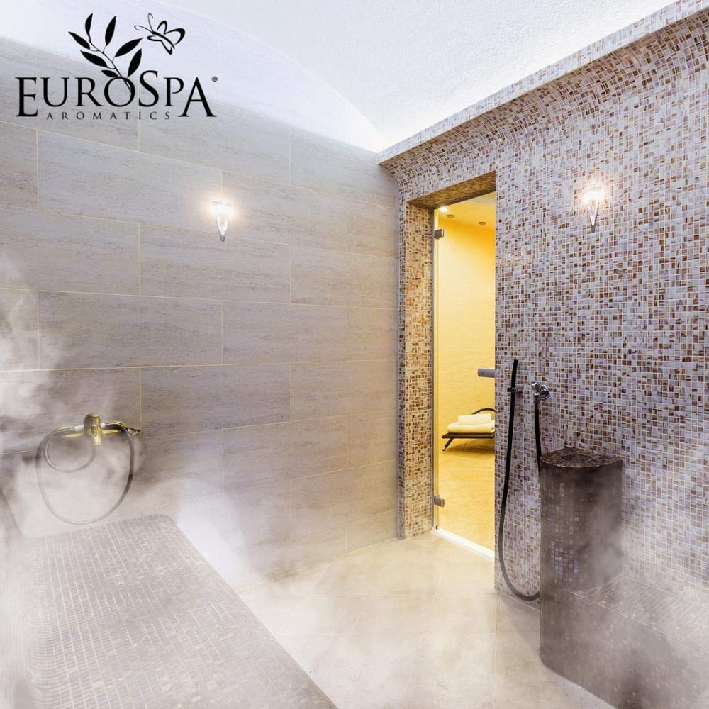 Shower stall with steam and eucalyptus aroma