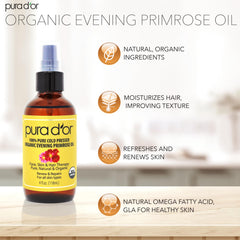 Evening primrose oil seeds used to produce cold-pressed oil