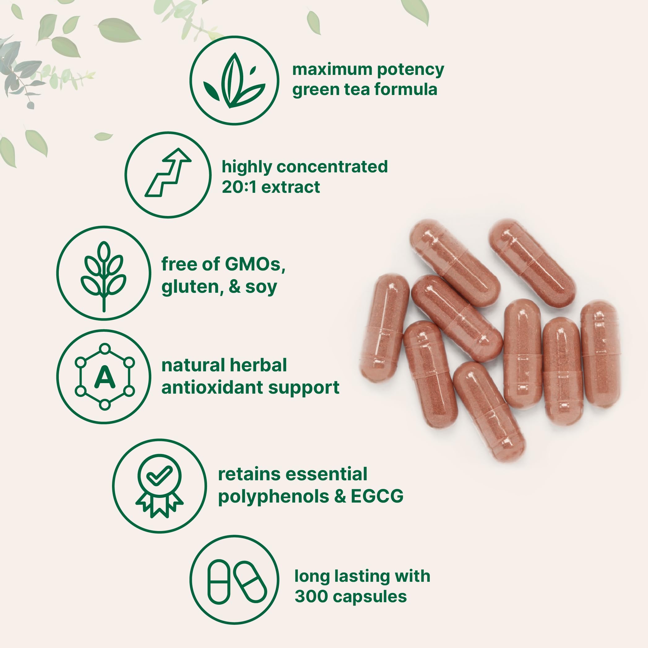 Green tea leaves beside capsules illustrating antioxidant support