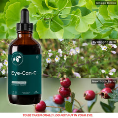 Concept image of improved night vision with Eye-Can-C