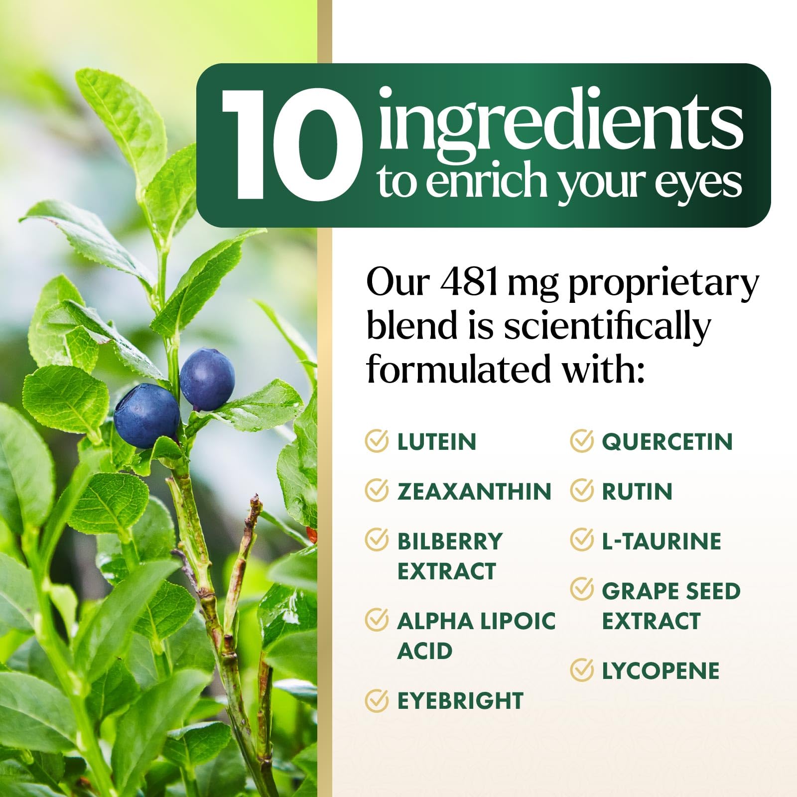 Product packaging of eye vitamins and minerals