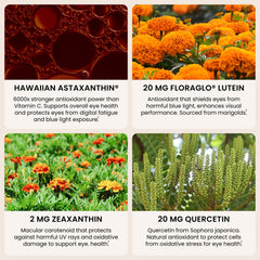 EyeAstin ingredients featuring BioAstin Hawaiian Astaxanthin lutein and zeaxanthin