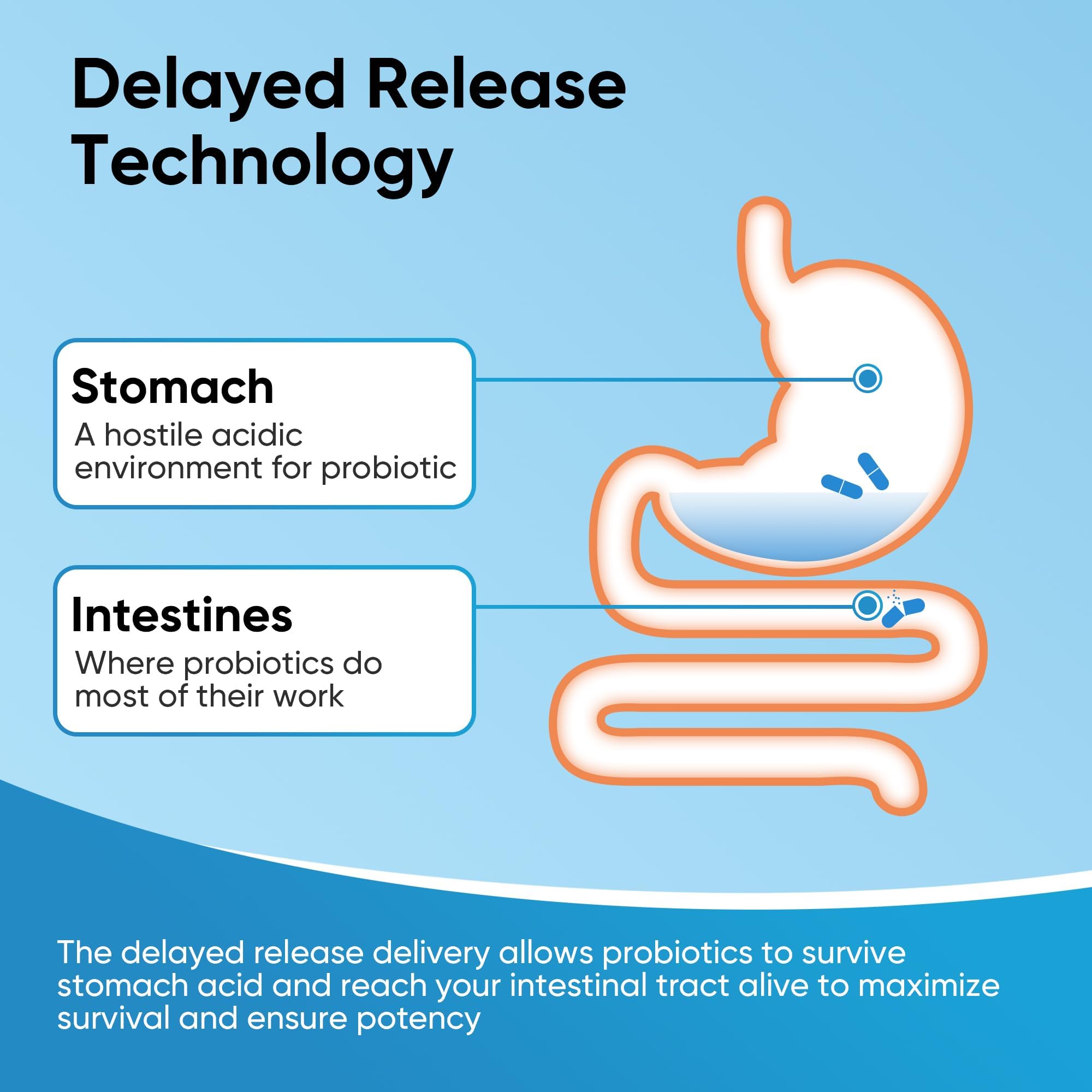 Nutritional label and ingredients for EYSOOGE Probiotics