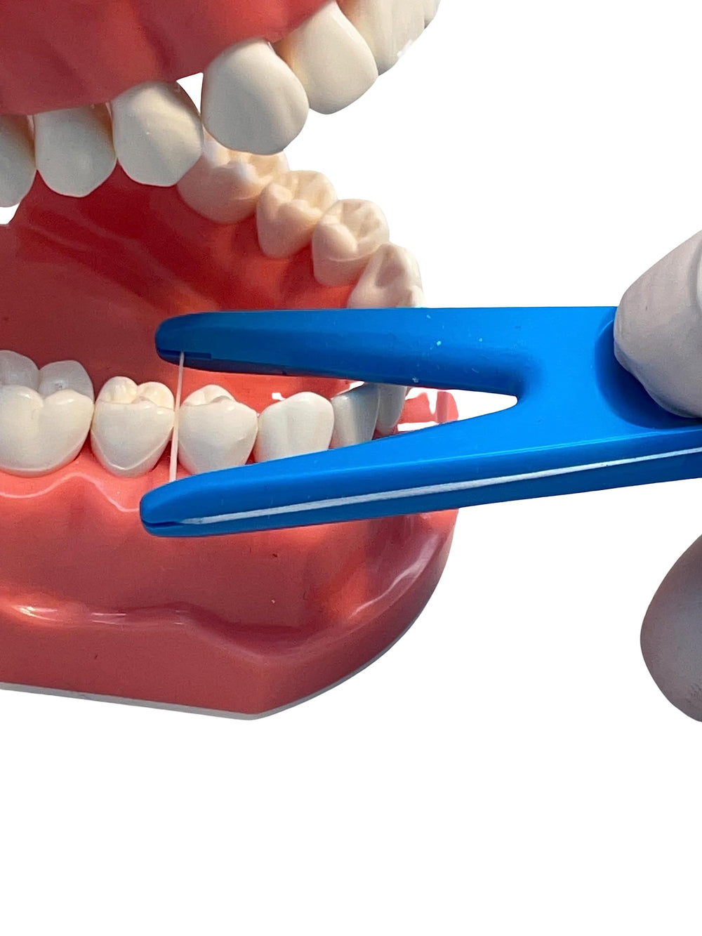 E-Z Floss Holder green front view