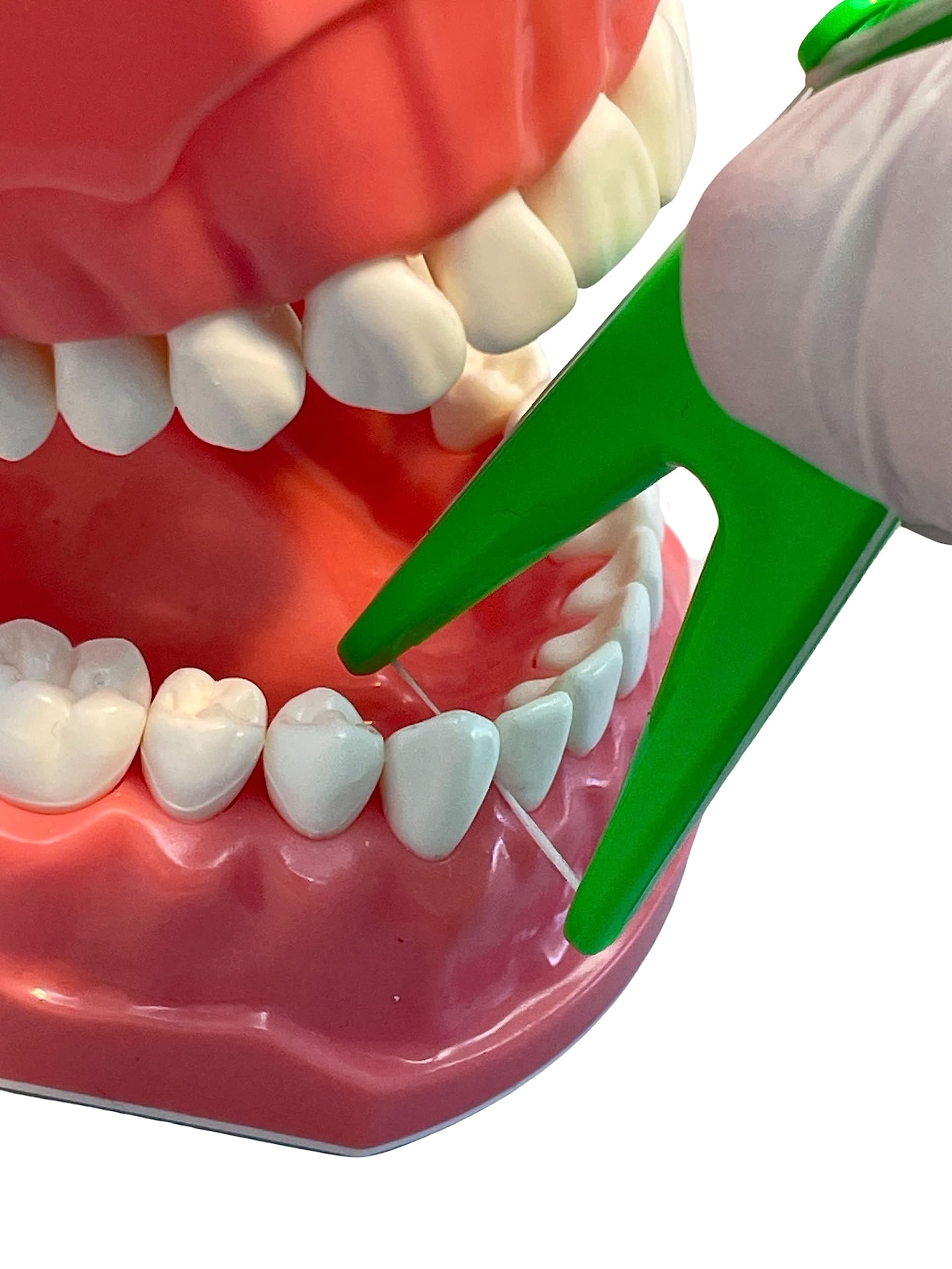 E-Z Floss Holder green side view