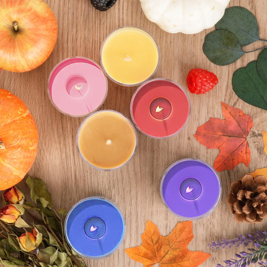Apple Maple Syrup scented candle in Fall Candles Bulk 12-pack