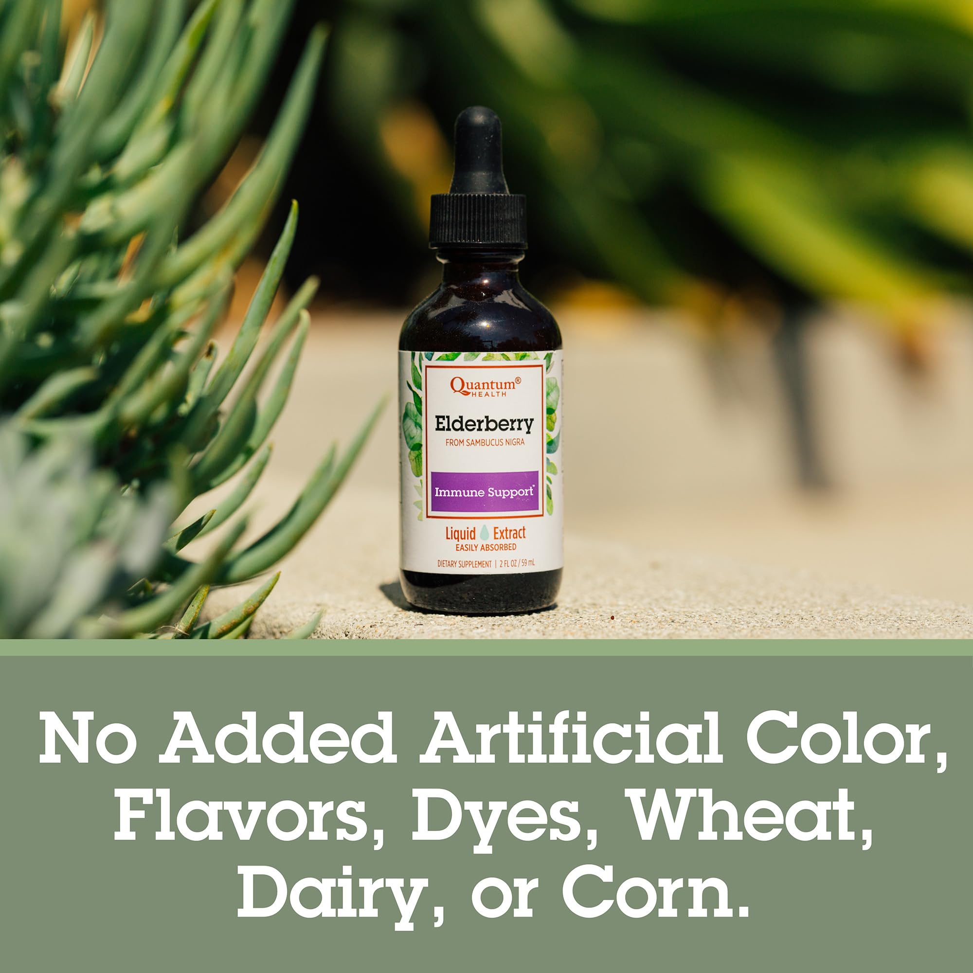 Family-friendly elderberry supplement options