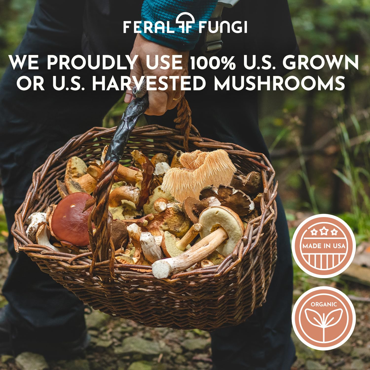 Farm-to-tincture production in Oregon