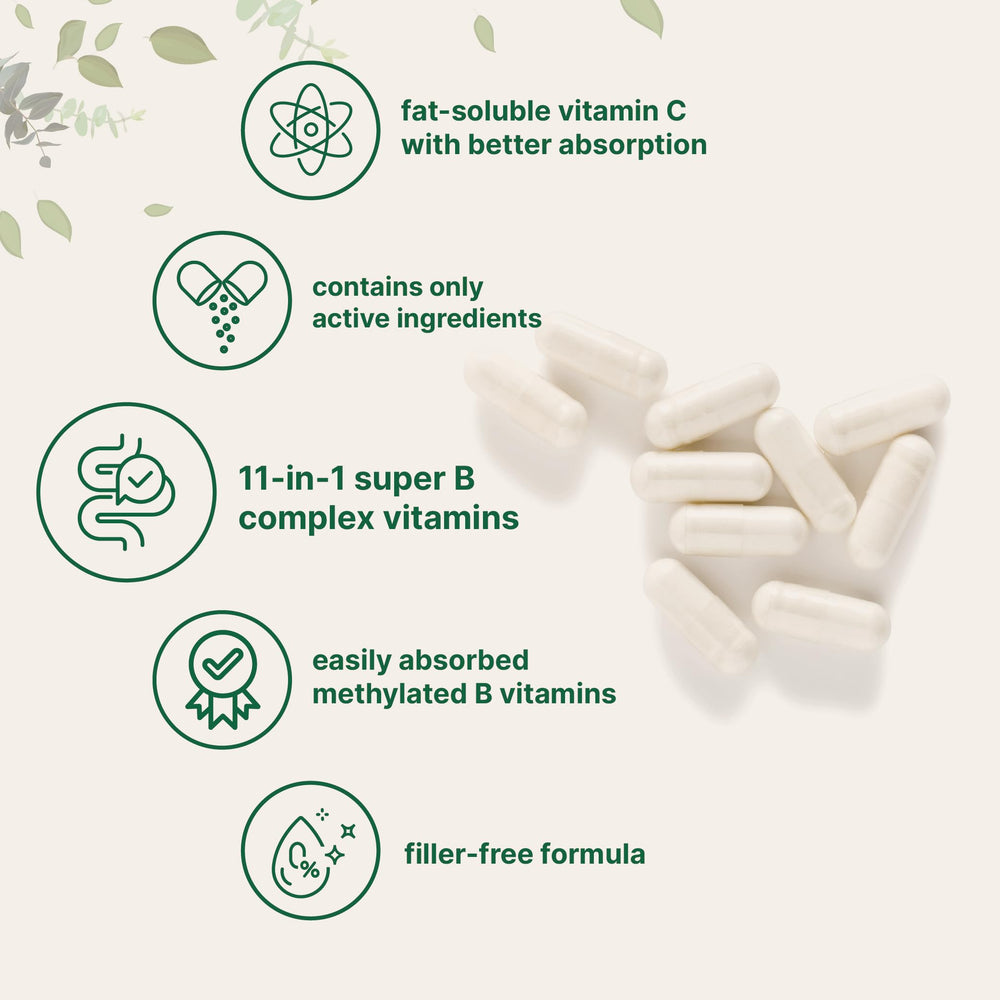 Fat-soluble vitamin C included in the formula (ascorbyl palmitate and ascorbic acid)