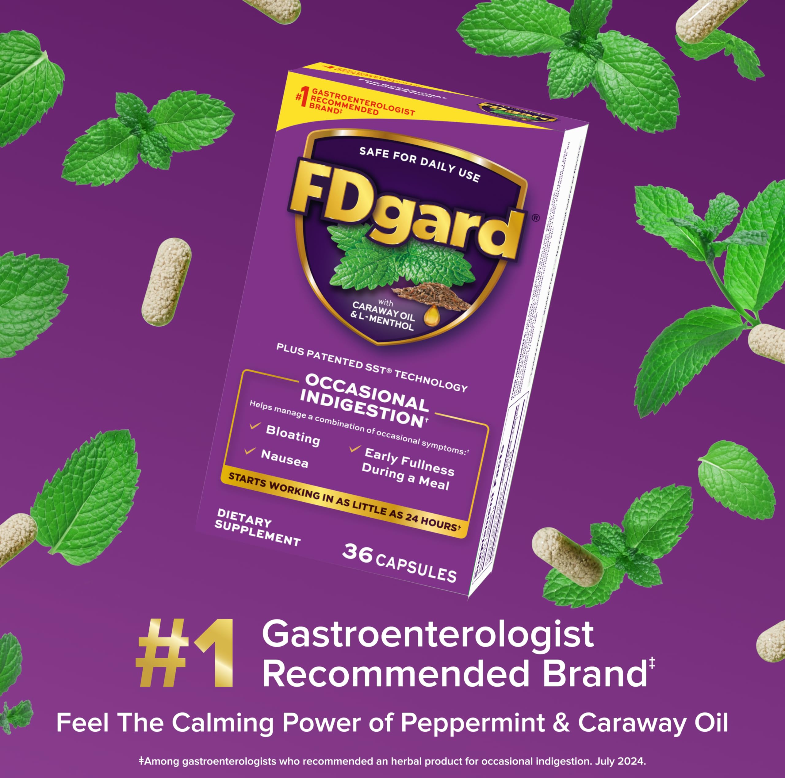FDgard capsules closeup highlights easy premeal intake for stomach comfort.