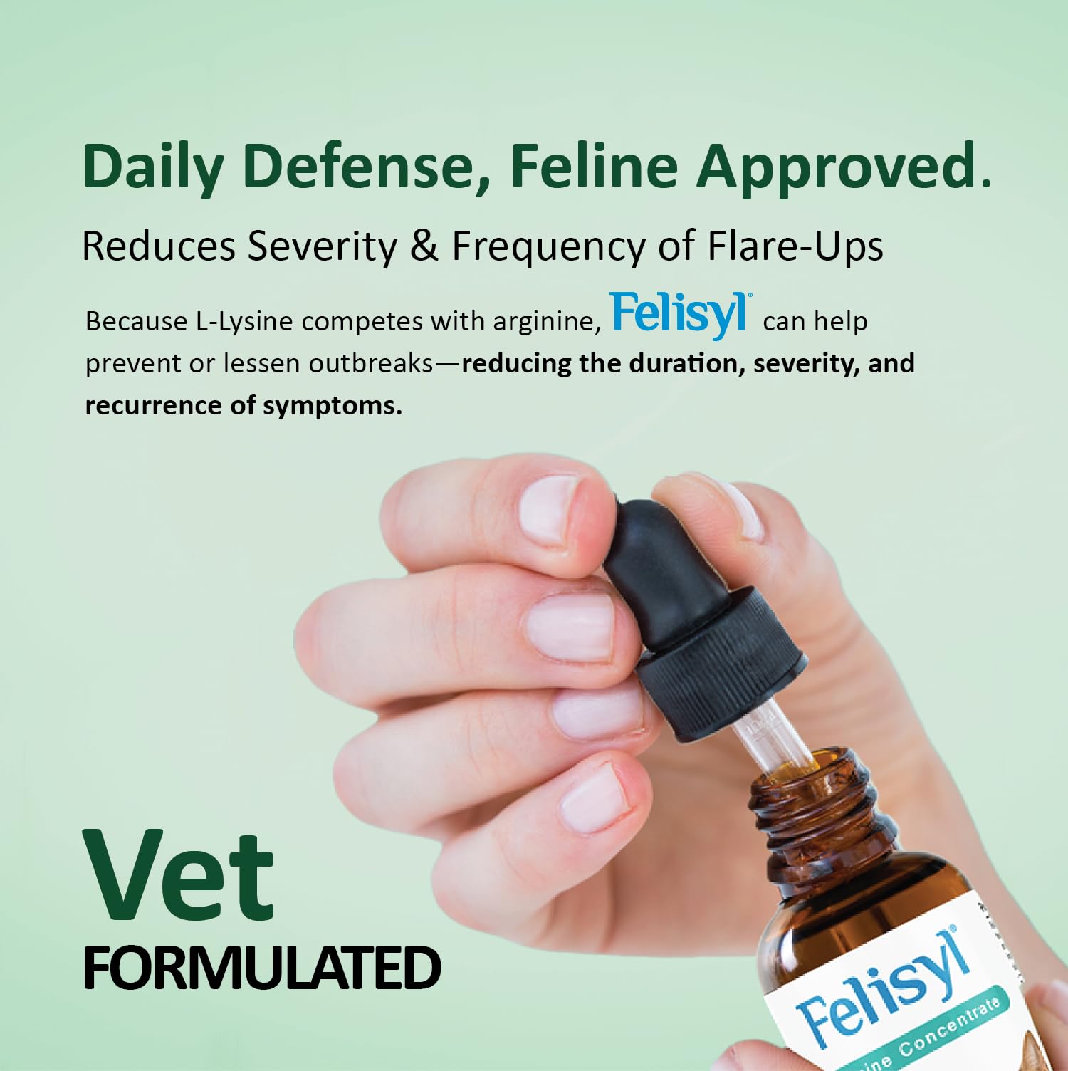 Ingredients panel for Felisyl L-Lysine 2 oz