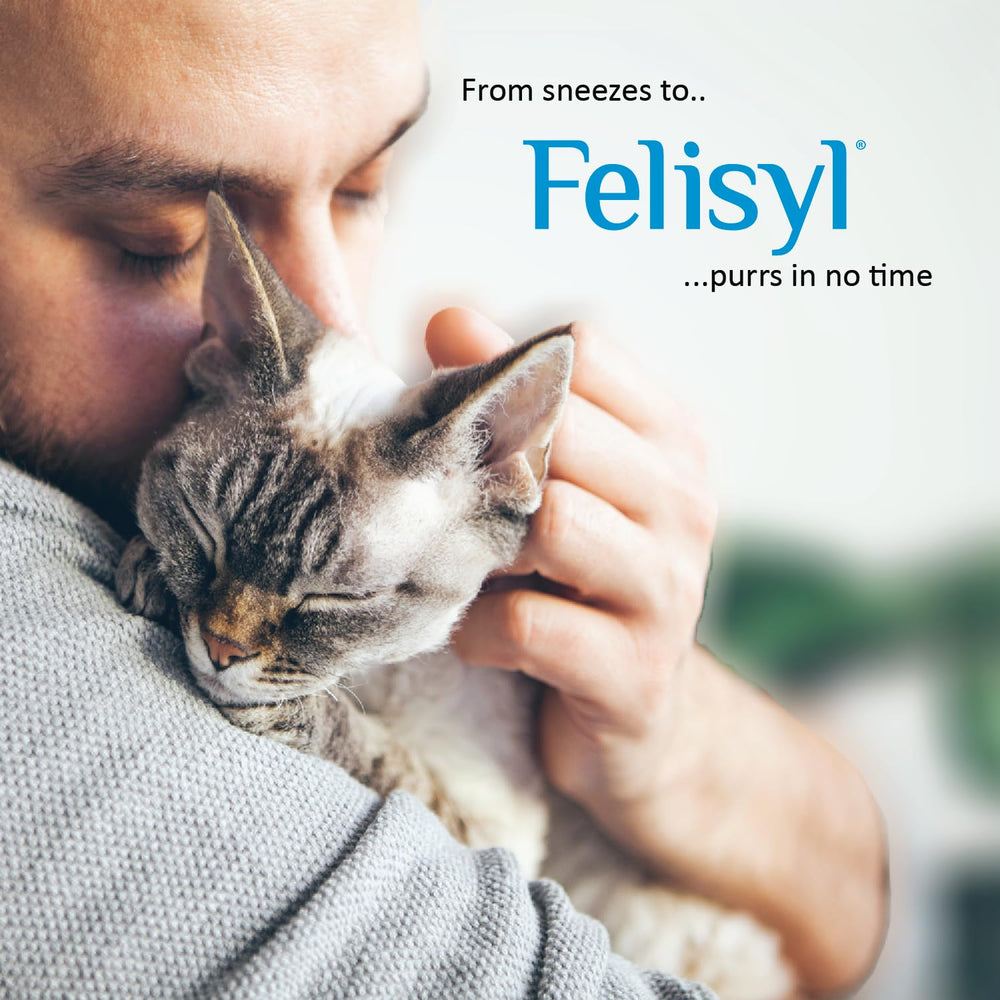 Eye and nasal health benefits for cats using Felisyl L-Lysine
