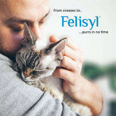 Eye and nasal health benefits for cats using Felisyl L-Lysine