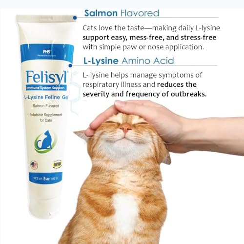 Close-up of salmon-flavored Felisyl L-Lysine Gel
