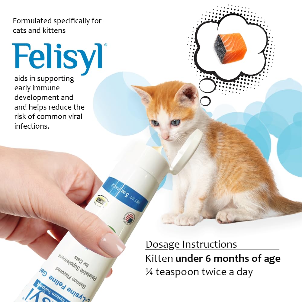 Cat ready to receive Felisyl L-Lysine Gel