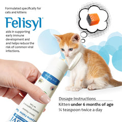 Cat ready to receive Felisyl L-Lysine Gel