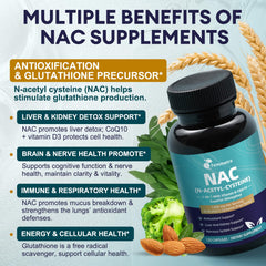 Heart and nerve health illustration with NAC