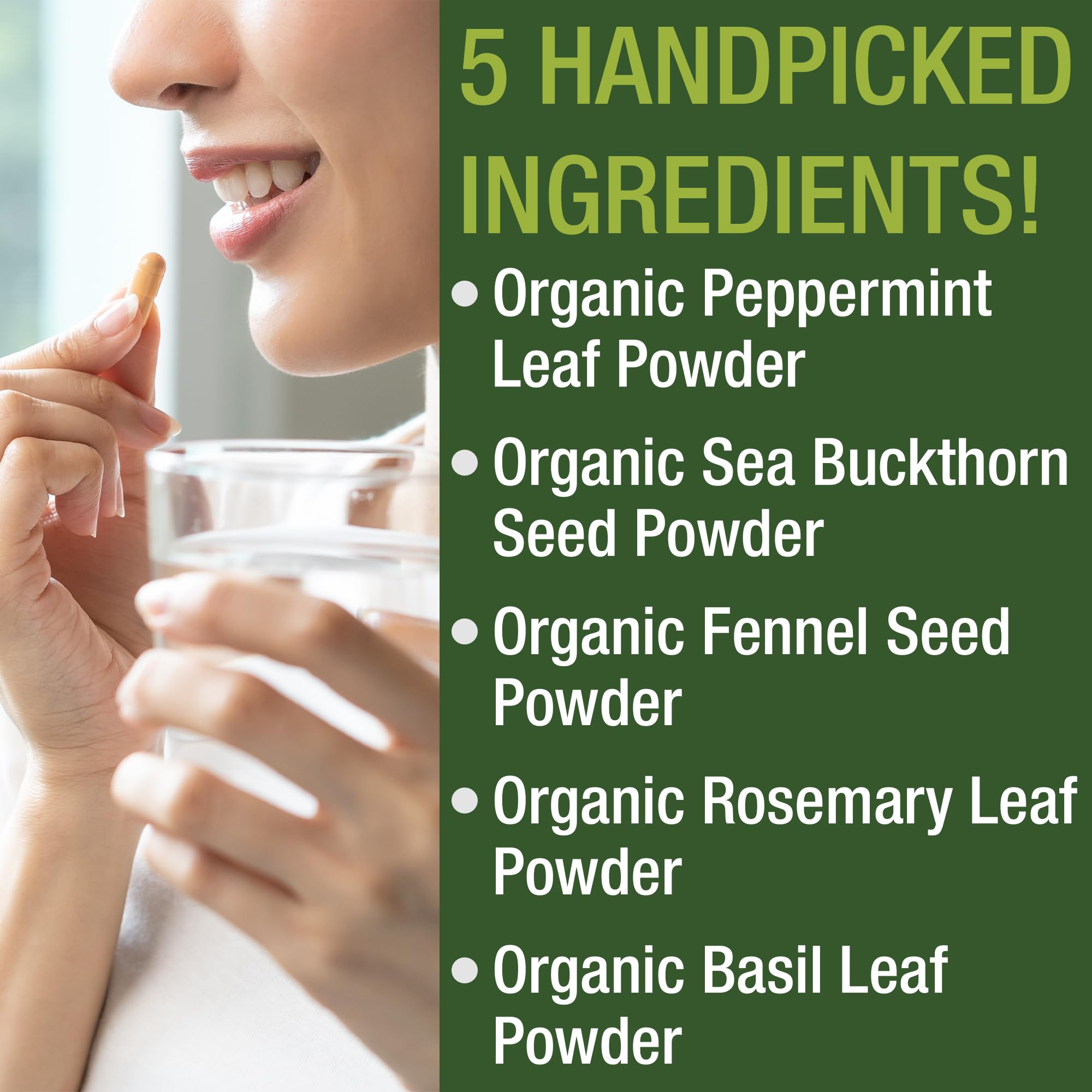 Fennel seed powder for digestive support in IBS capsules