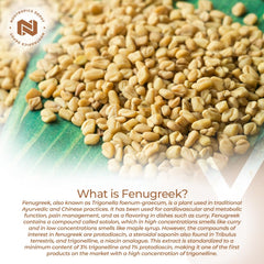 Close-up of bottle label highlighting 3% trigonelline and 1% protodioscin.