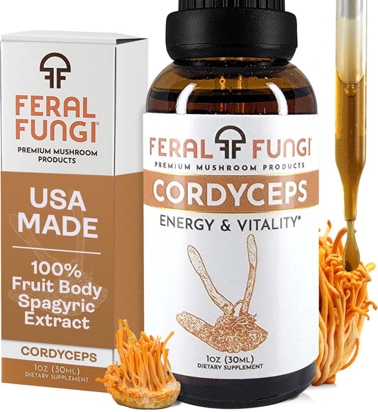 1 oz bottle of Feral Fungi Cordyceps tincture