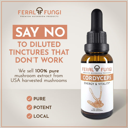 Label artwork of Feral Fungi Cordyceps tincture