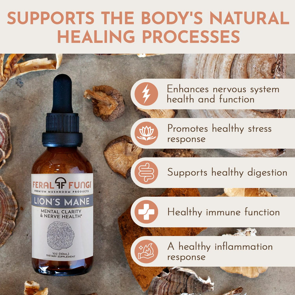 Lion's Mane tincture ingredients