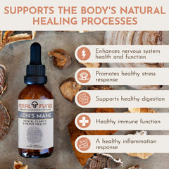 Lion's Mane tincture ingredients