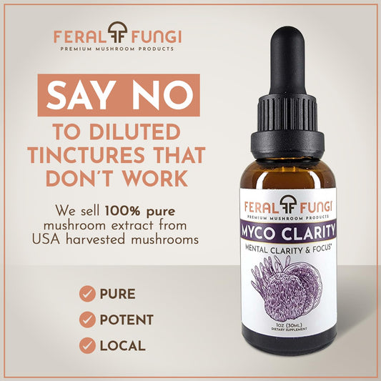 Close-up of Myco-Clarity tincture bottle with dropper