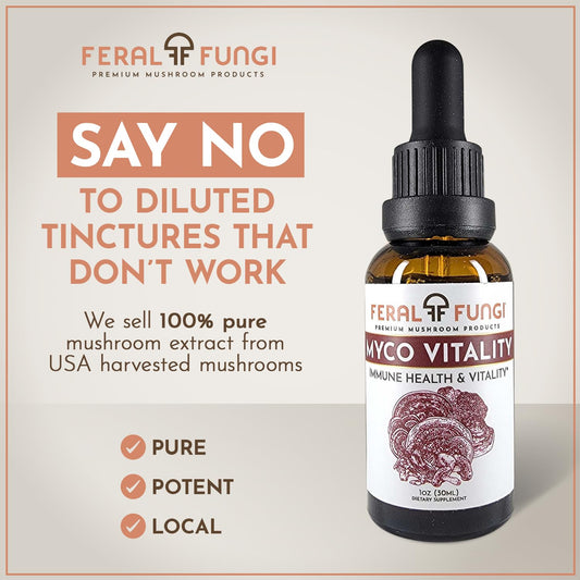 Close-up of the Feral Fungi Myco-Vitality Tincture bottle