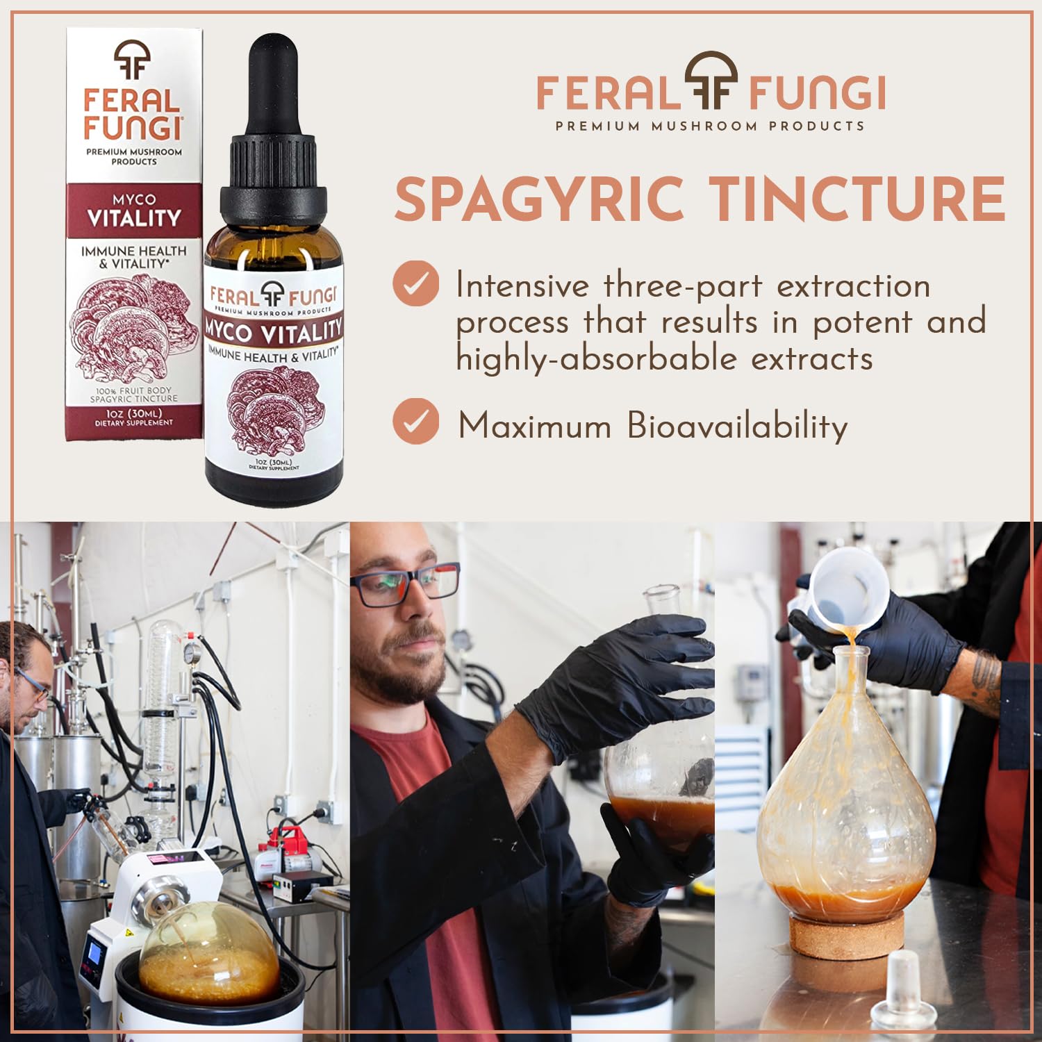 Spagyric extraction process diagram for Feral Fungi tincture