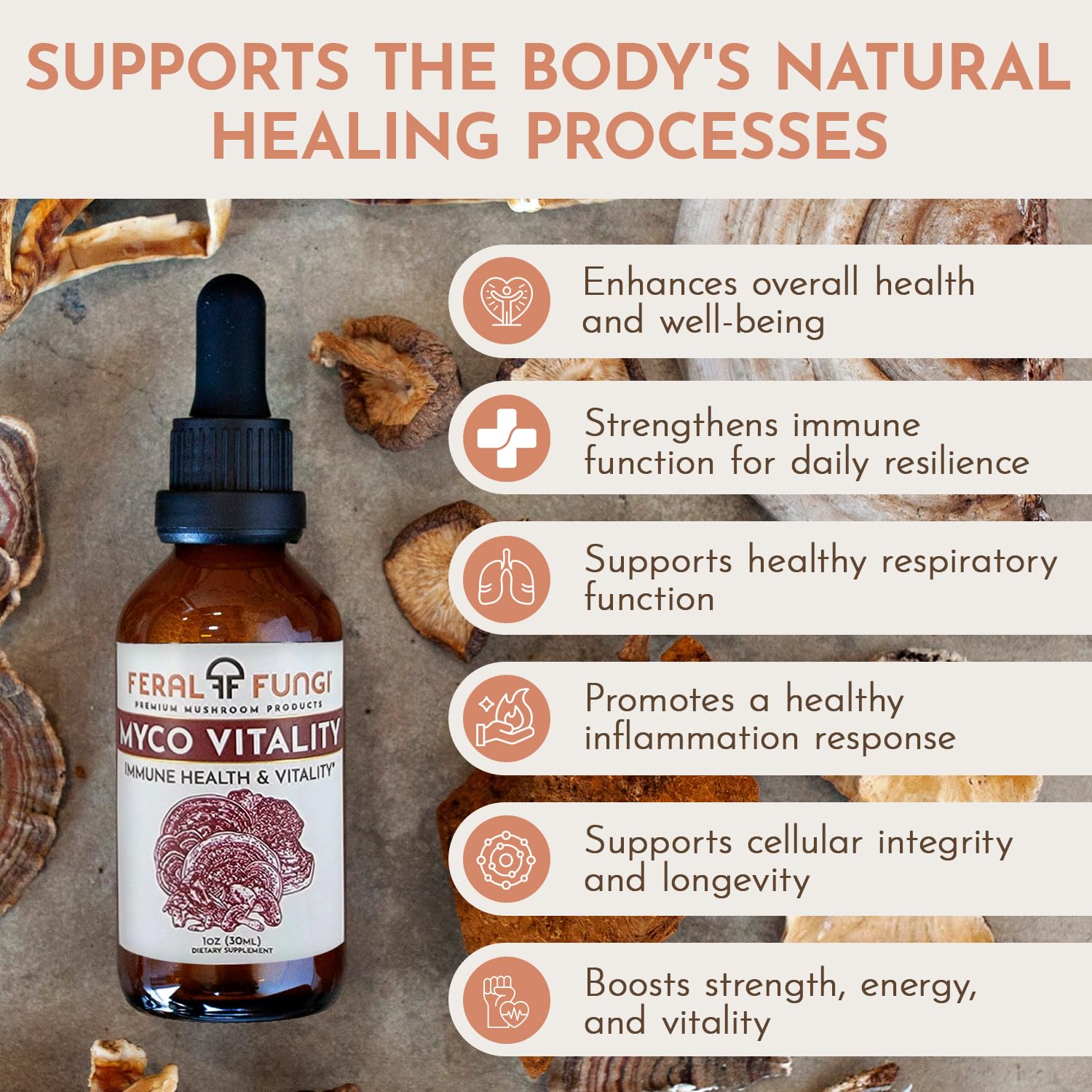 USA-grown mushrooms used in Feral Fungi tincture