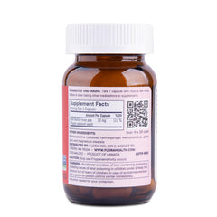 Ferritin+ delayed-release iron capsule design