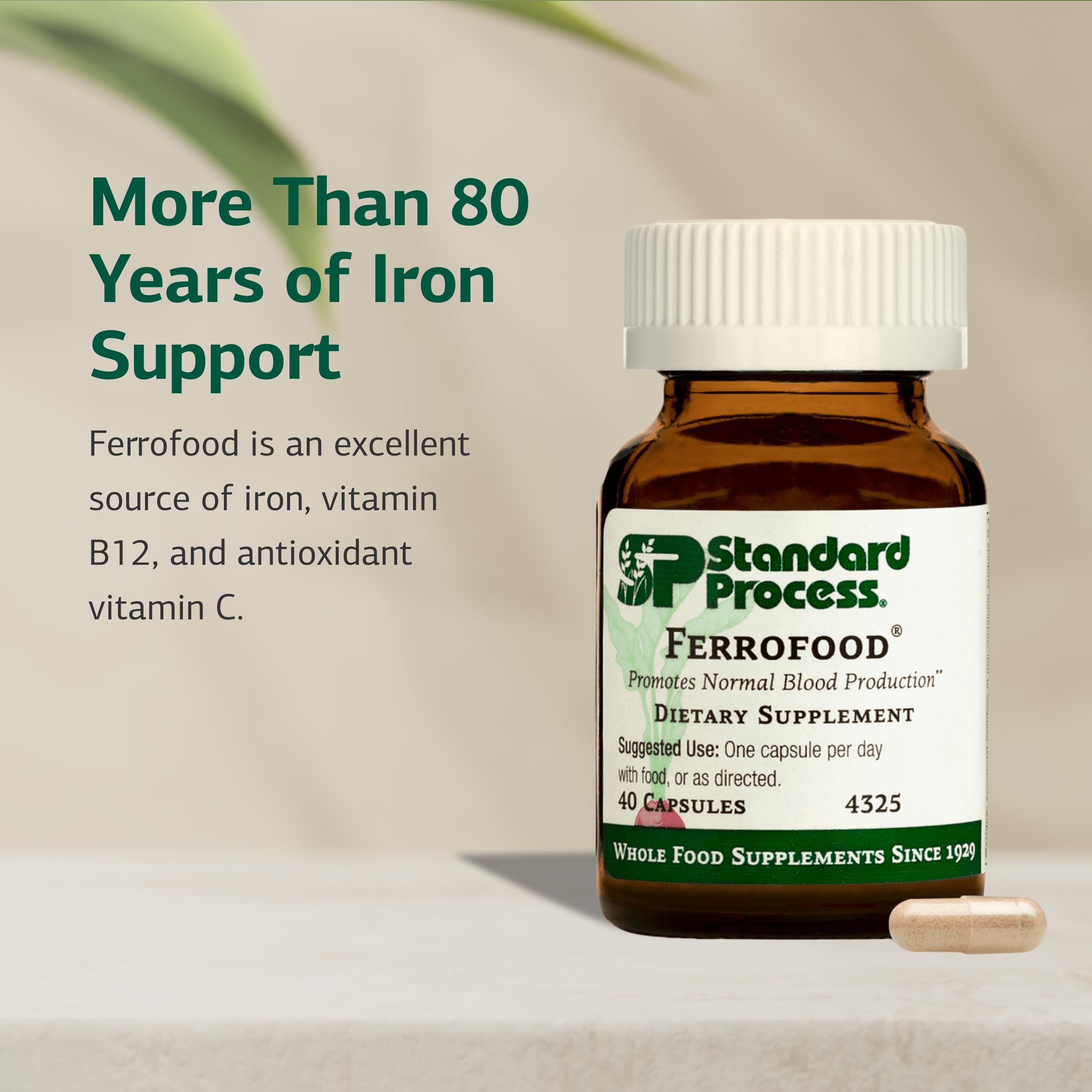 Illustration showing vitamin C aiding iron absorption