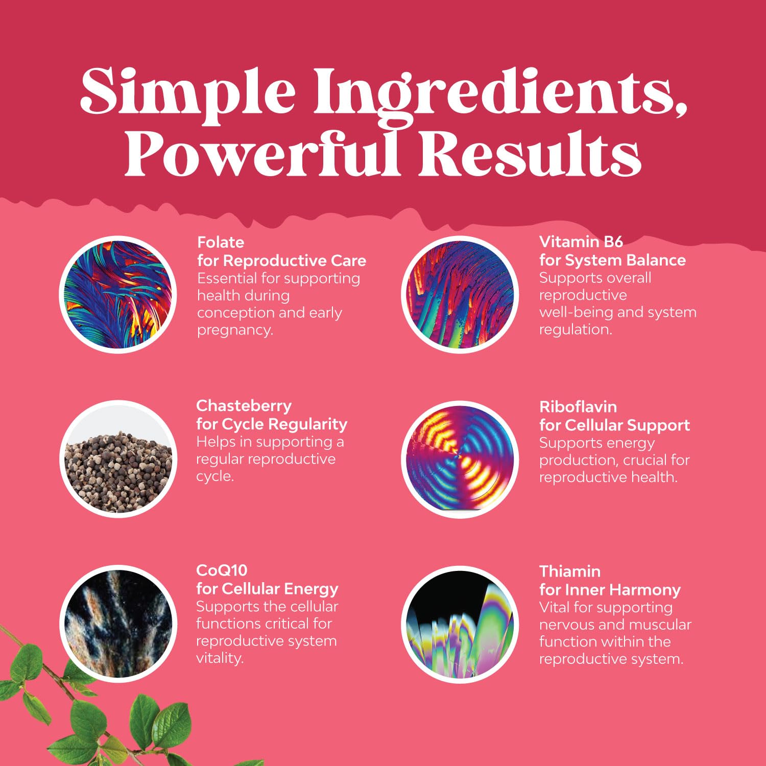 Infographic highlighting DHEA, DHA, and CoQ10 for fertility
