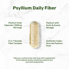 Illustration of digestive health benefits from fiber