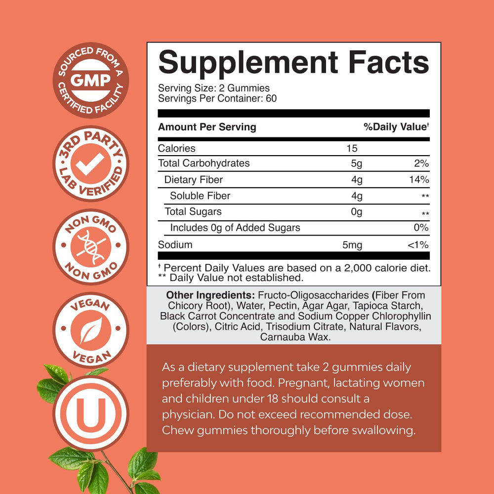 Illustration of chicory root inulin as a natural prebiotic for digestive health