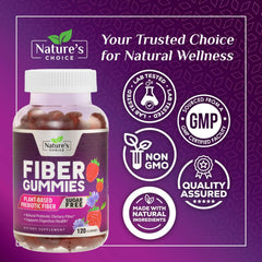Illustration of digestive health with fiber gummies