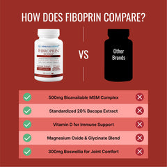 Graphic illustrating nerve and mobility support related to Fibroprin