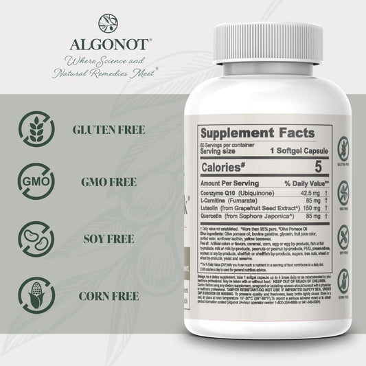 Close-up of FibroProtek ingredients including CoQ10, L-Carnitine, Luteolin and Quercetin
