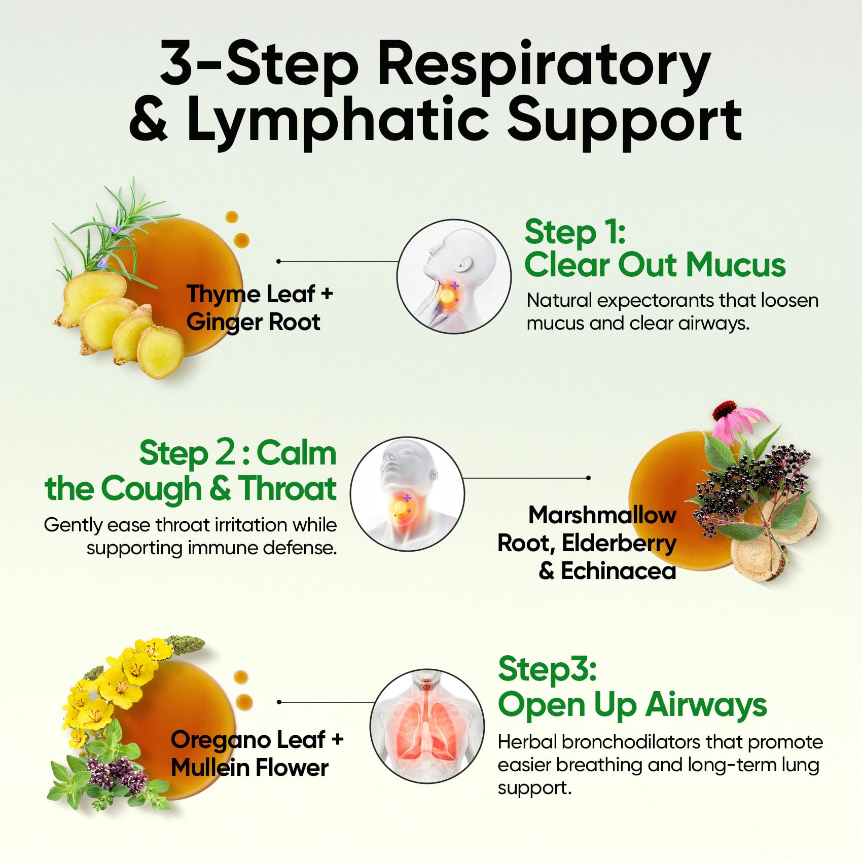 Lung health concept with clear air imagery