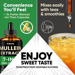 No artificial dyes badge on Fidus Mullein Drops packaging