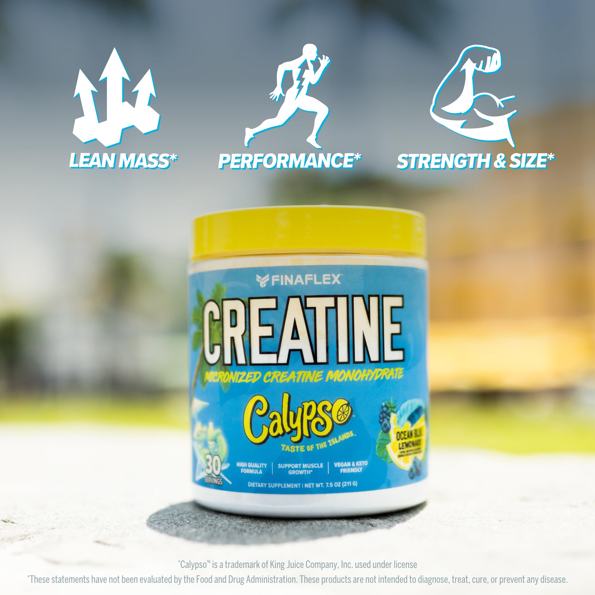FINAFLEX Creatine Calypso ingredients panel